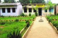 विद्यालय के प्रांगण में फूलदार व फलदार पौधे