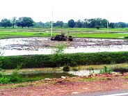 satna monsoon big news in hindi