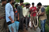 एक वाकया सामने आया है धरमजयगढ़ के वार्ड नंबर दो में