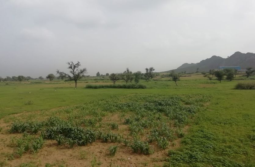 Brokers doing fake registry of land in bhiwadi alwar