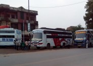 Buses