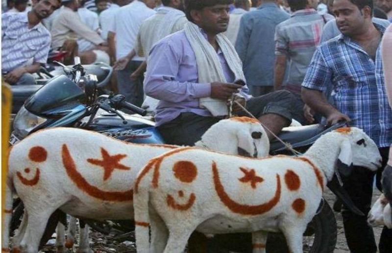 Eid-Ul-Azha