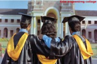 277 fake engineering colleges