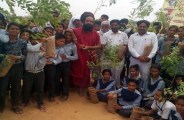 Plantation