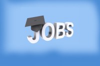 Central University of Punjab Recruitment 
