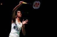 sindhu 