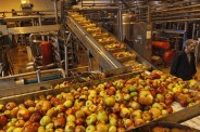food processing units in jodhpur