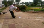 delhi