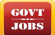 Govt Job