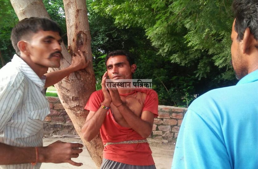 pali hindi news