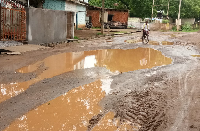 Video- इस आदर्श ग्राम का सड़क बेहाल, बाइक तो दूर पैदल चलना भी मुश्किल, ग्रामीणों में आक्रोश