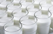 28 crores grant for milk