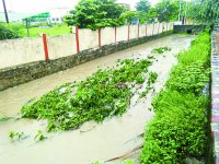 singrauli me ganda pani bah raha sadako me