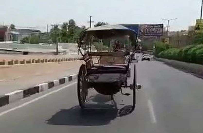 Tanga Run without horse Rider on Road