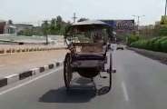 Tanga Run without horse Rider on Road