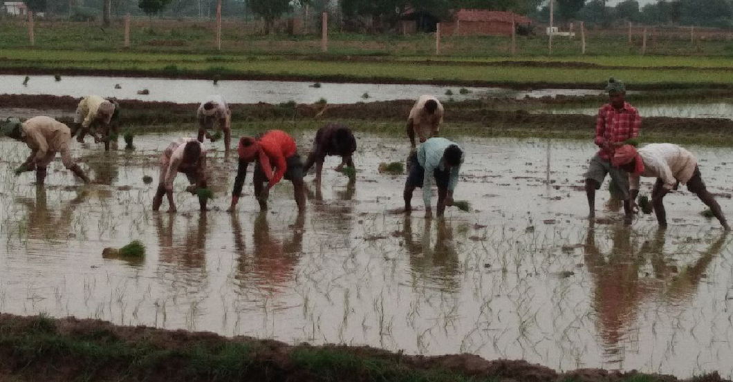 Sowing near the target, now monsoon rains