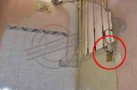 ED's action at the traders in bhilwara