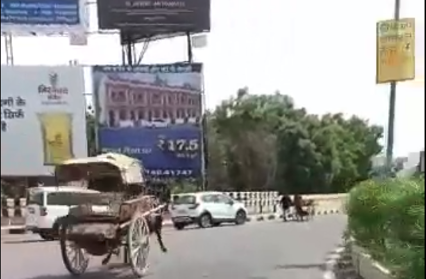 ना सवार ना सवारी फिर भी दौडी घोड़ा गाड़ी
