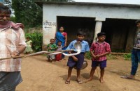 सांप को पकड़वाकर बाहर निकाला गया