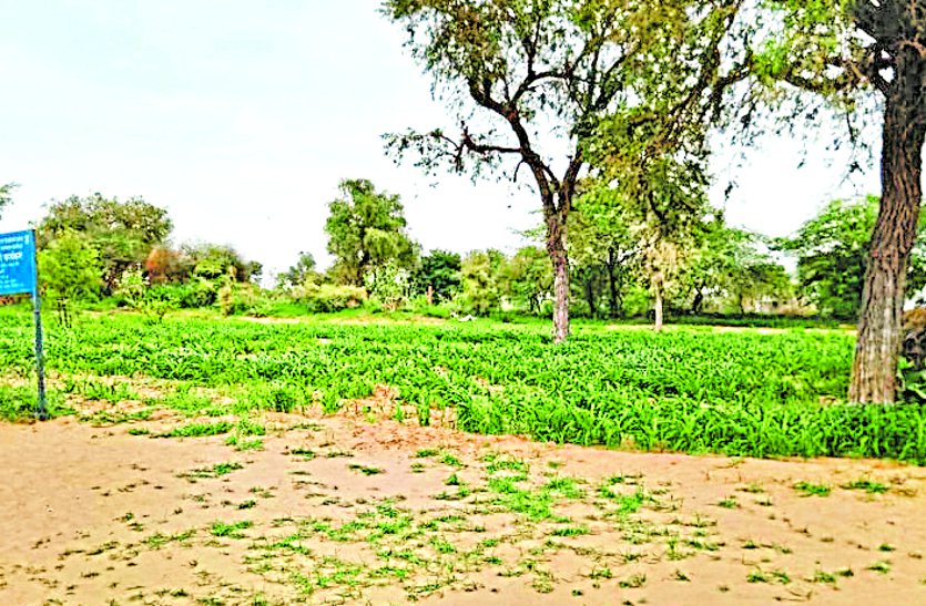 Wind from the surface, the humidity of the land decreased.