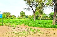 Wind from the surface, the humidity of the land decreased.