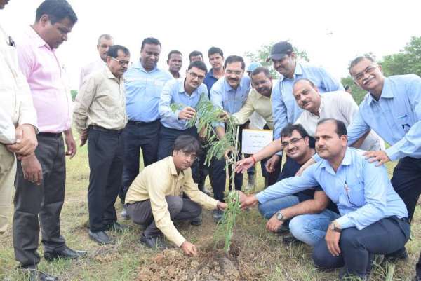 patrika harit pradesh campaign in prism cement satna