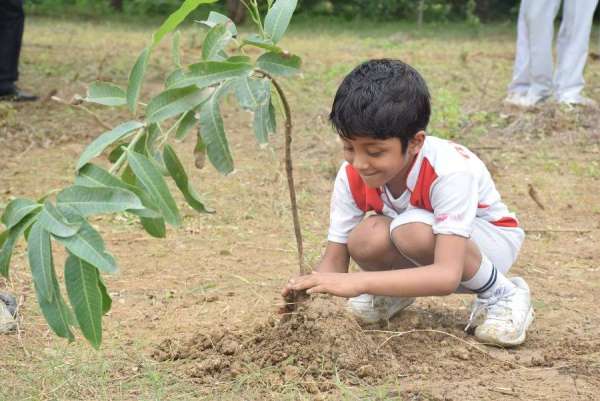 patrika harit pradesh campaign in prism cement satna