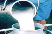 दूध के लिए 28 करोड़ का अनुदान,100 करोड़ के लगेंगे प्लांट