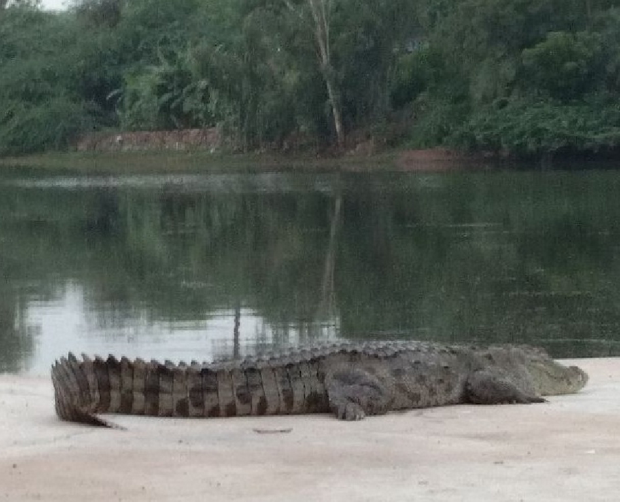 After all, how are you eaten by going to the river?