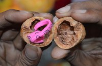 Friendship day 2018 trending gift : उपहारों से जीतेंगे दोस्त का दिल, फ्रेंडशिप डे पर मचेगा धमाल, ऐसी है तैयारी