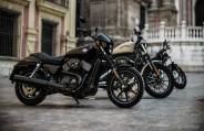 harley