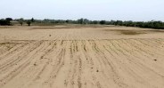Sand deposited in fields due to the storms Damage to farmers