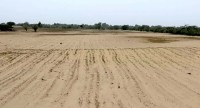 Sand deposited in fields due to the storms Damage to farmers