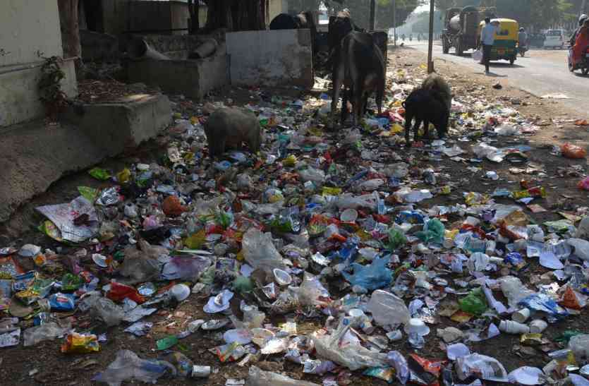 New Cleaning Staff In Alwar Nagar Parishad