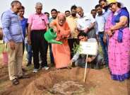 Haryalo Rajasthan Campaign