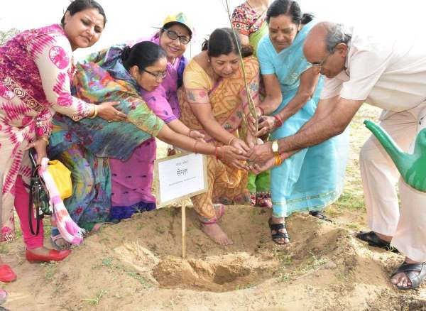 Haryalo Rajasthan Campaign