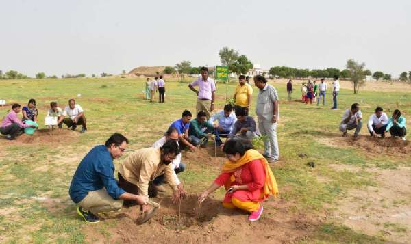 Haryalo Rajasthan Campaign