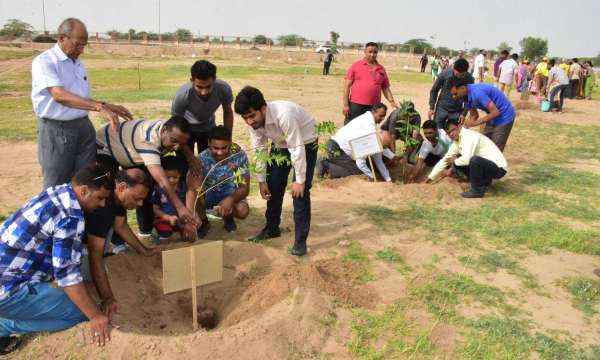 Haryalo Rajasthan Campaign