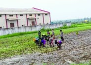 being drained ashadha and sawan months 2018 in panna
