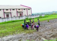 being drained ashadha and sawan months 2018 in panna