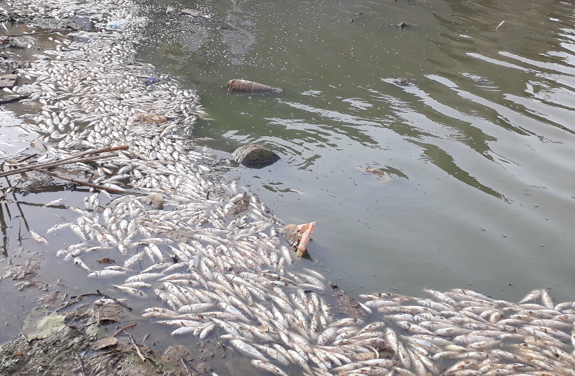 Sri Ganganagar