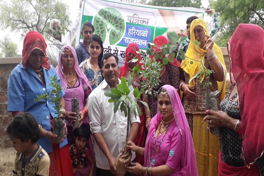 plantation in jodhpur