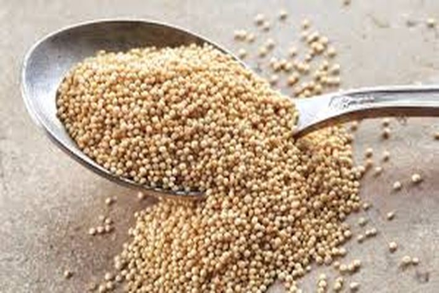 jodhpur agriculture university research