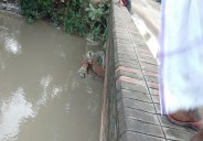 CANAL