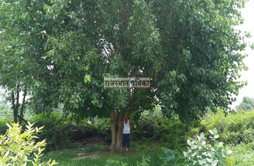 environmental-love-is-like-a-child-of-plants