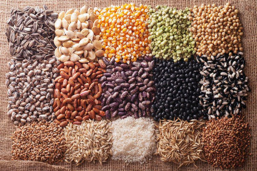 jalore agriculture#seeds#news