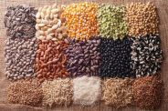 jalore agriculture#seeds#news