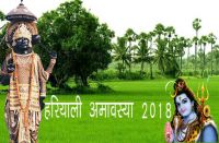 Hariyali Amavasya