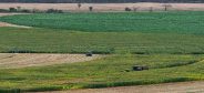 Rajsamand Hindi news,rajsamand news in hindi,agriculture news in hindi,agriculture latest news,