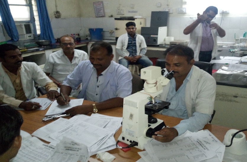 डेंगू के डंक ने उड़ाई नींद, बढ़ रहे रोगी, जिले में अब तक चिन्हित हुए 34 रोगी